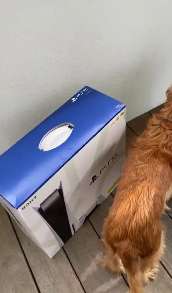 playstation 5, tamaño, hogar
